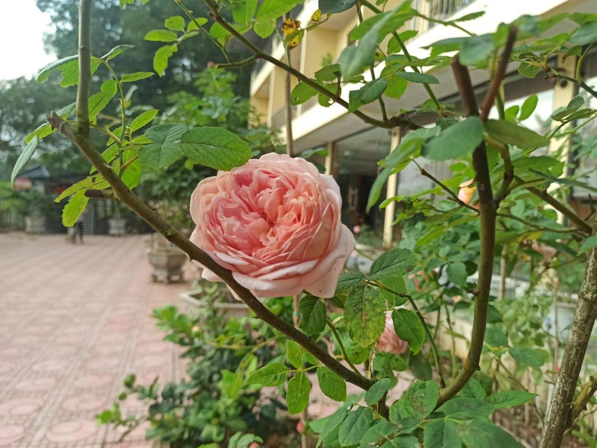 Aku House Villa Ao Vua Ba Vì District Zewnętrze zdjęcie